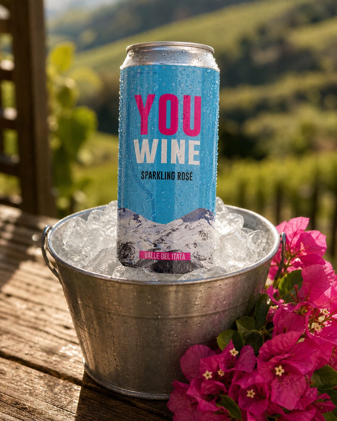 YOU WINE Sparkling Rosé — Valle del Itata